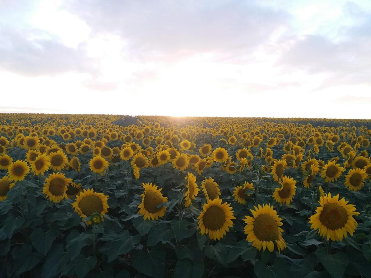 La Pommeraie Nantille Luaran gambar